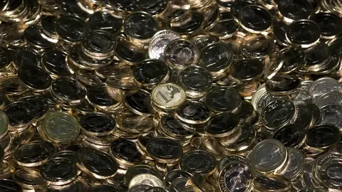 Recursos de monedas. Euros. Dinero