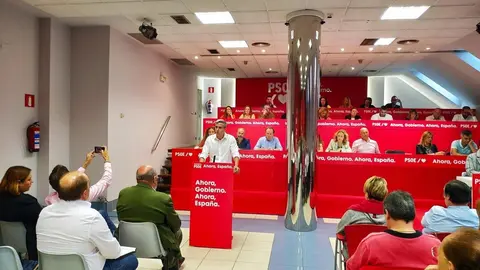 El secretario general del PSOE, Pablo Zuloaga, interviene ante el Comit&eacute; Ejecutivo Regional