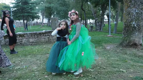 OLYMPUS DIGITAL CAMERA         