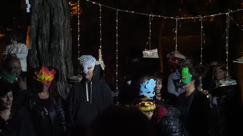 OLYMPUS DIGITAL CAMERA         