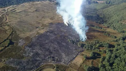 Incendio forestal. Imagen de archivo
