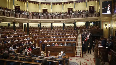 Vista del hemiciclo del Congreso de los Diputados durante la segunda votaci&oacute;n para la investidura del candidato socialista a la Presidencia del Gobierno.