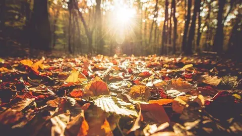 se-acerca-el-otono-astronomico-208381-2