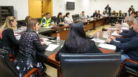 La consejera de Presidencia de Cantabria, Paula Fern&aacute;ndez, y otros representantes de instituciones p&uacute;blicas de la comunidad sobre la Ley de Espect&aacute;culos