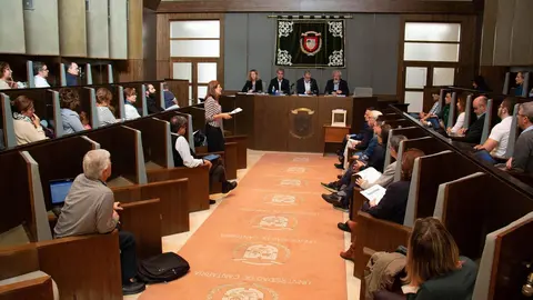 Consejo de Gobierno de la Universidad de Cantabria