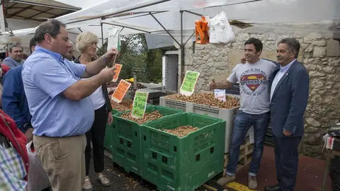 Revilla en la feria de San Lucas de Hoznayo
