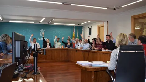 Pleno extraordinario de Pi&eacute;lagos en el que se ha aprobado de forma inicial el presupuesto de 2019