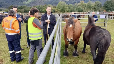 El consejero de Desarrollo Rural en la feria de Cabu&eacute;rniga