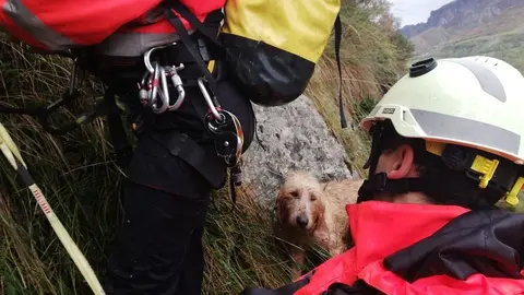 Bomberos del 112 recatan al perro