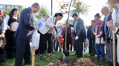La alcaldesa de Santander, Gema Igual,compa&ntilde;ada del secretario general de Emigraci&oacute;n de la Xunta de Galicia, Antonio Rodr&iacute;guez Miranda, y del presidente del Centro Gallego, Jos&eacute; Antonio Otero, plantan un carballo (roble)  en el Parque de Mesones