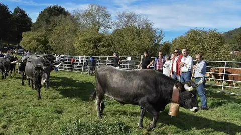 El consejero de Desarrollo Rural, Ganader&iacute;a, Pesca, Alimentaci&oacute;n y Medio Ambiente, Guillermo Blanco, en la Feria ganadera de Coo