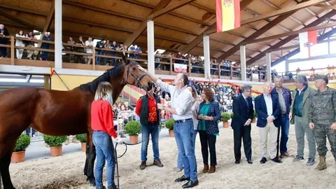 75424744_10157894226880663_2633936613222121472_n