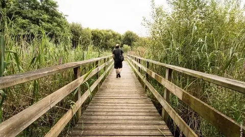    La Fundaci&oacute;n Naturaleza y Hombre (FNYH), coordinadora del proyecto LIFE 'Anillo Verde de la Bah&iacute;a de Santander', ha programado actividades para todo el verano con el objetivo de darlo a conocer tanto entre la poblaci&oacute;n local como a los turistas por med