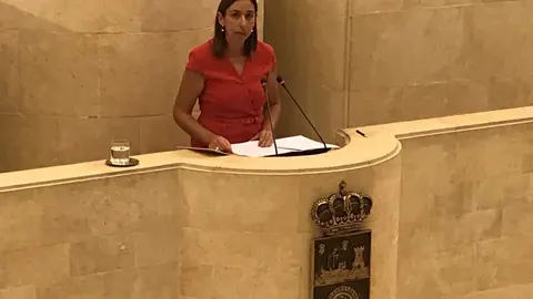 La consejera de Econom&iacute;a y Hacienda, Mar&iacute;a S&aacute;nchez, contesta a una interpelaci&oacute;n en el Parlamento