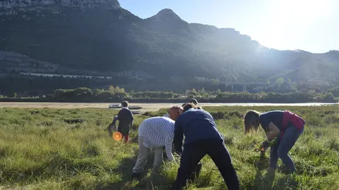 Voluntarios del BBVA en Cantabria recogen residuos en Cantabria