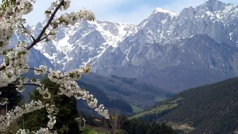 Picos de Europa