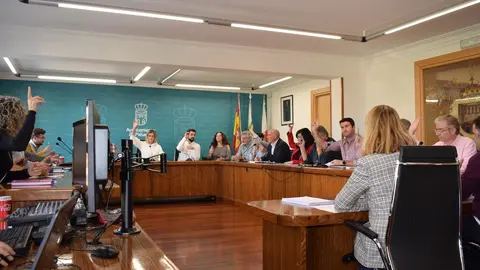 Pleno Ayuntamiento Pi&eacute;lagos