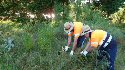 Noja.- El Ayuntamiento contratar&aacute; a 35 desempleados a trav&eacute;s del programa de Corporaciones Locales 