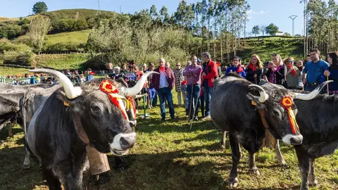 Pablo Zuloaga en la feria de ganado de Cieza