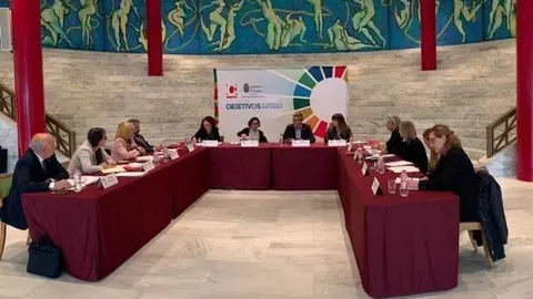 Reuni&oacute;n de la comisi&oacute;n de coordinaci&oacute;n del convenio de acci&oacute;n humanitaria entre la AECID y 10 CCAA