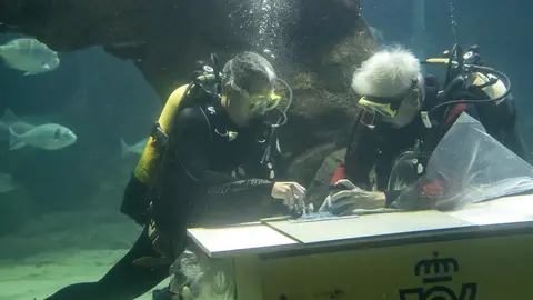 El vicepresidente de Cantabria y consejero de Cultura, Pablo Zuloaga, y el director del MMC, Gerardo Garc&iacute;a-Castrillo, vestidos de buzos, han llevado a cabo el primer matasellado bajo el agua de la historia, organizado por Correos