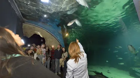 Museo Mar&iacute;timo del Cant&aacute;brico (MMC)