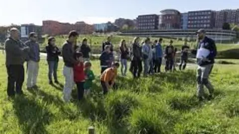 actividad de provoca en las llamas