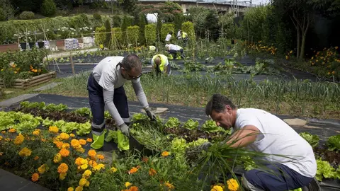 Camargo.- Arranca este lunes un curso sobre 'Horticultura y Floricultura' dirigido a desempleados