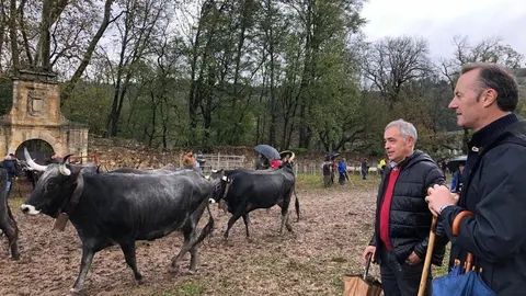 El consejero de Desarrollo Rural, Ganader&iacute;a, Pesca, Alimentaci&oacute;n y Medio Ambiente, Guillermo Blanco, ha asistido hoy a la XXXIX edici&oacute;n de la tradicional Feria Exposici&oacute;n de Ganado de Arenas de Igu&ntilde;a