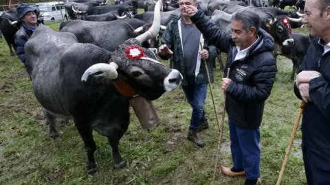 El presidente de Cantabria, Miguel &Aacute;ngel Revilla, asiste a la tradicional feria ganadera de San Mart&iacute;n de Trece&ntilde;o