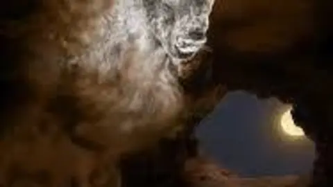 'Los Bisontes De Altamira'