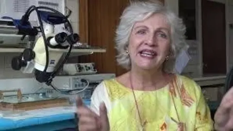 Mar&iacute;a Amor Hurl&eacute; Gonz&aacute;lez, Catedr&aacute;tica De Farmacolog&iacute;a De La UC, Encargada De Impartir La Conferencia