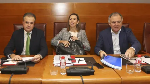 La consejera de Econom&iacute;a y Hacienda del Gobierno de Cantabria, Mar&iacute;a S&aacute;nchez; con el regionalista Francisco Ortiz (izda) y Lorenzo Vidal de la Pe&ntilde;a, del PP, a la derecha
