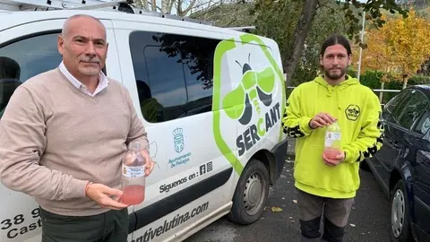 Trampeo de la avispa asi&aacute;tica en Pi&eacute;lagos