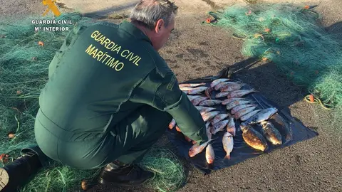Operaci&oacute;n contra pescador furtivo en bah&iacute;a de Santander