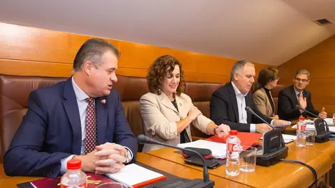 La consejera de Empleo y Pol&iacute;ticas Sociales, Ana Bel&eacute;n &Aacute;lvarez, comparece ante la Comisi&oacute;n de Econom&iacute;a y Hacienda, para informar de los presupuestos de su departamento para 2020