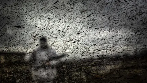 Foto de Antonio Arag&oacute;n en muestra fotoperiodistas c&aacute;ntabros