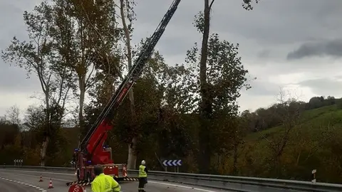 Bomberos del Servicio de Emergencias 112 retiran ramas de &aacute;rboles con riesgo de ca&iacute;da en el punto kilom&eacute;trico 258 de la carretera nacional 634