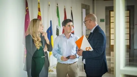 Marta Garc&iacute;a, Diego Mara&ntilde;&oacute;n y F&eacute;lix &Aacute;lvarez, diputados de Cs Cantabria