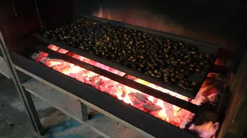 Magosta de San Mateo