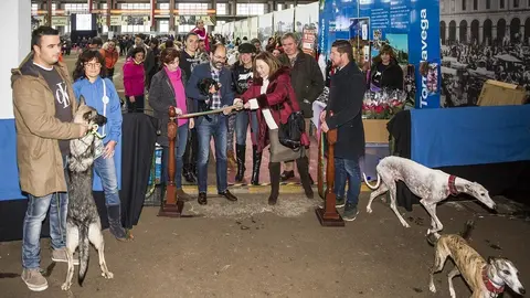 La IV Feria de Adopci&oacute;n Responsable 'Ciudad de Torrelavega'
