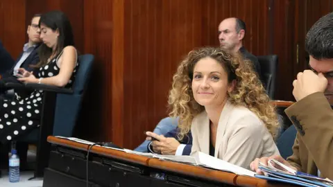 La portavoz adjunta del PSOE en el Ayuntamiento de Santander, Ainoa Qui&ntilde;ones