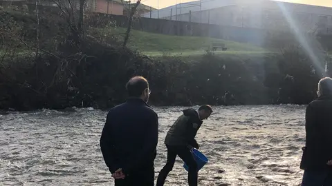 Suelta de salmones en el r&iacute;o Besaya