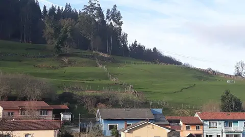 Argayo San Mateo (LOs Corrales)