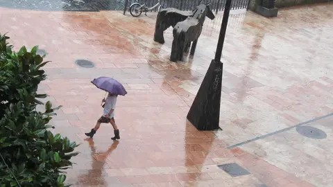     La Direcci&oacute;n General de Protecci&oacute;n Civil y Emergencias del Ministerio del Interior, de acuerdo con las predicciones de la Agencia Estatal de Meteorolog&iacute;a (AEMET), ha informado de la previsi&oacute;n de lluvias generalizadas en la Pen&iacute;nsula.