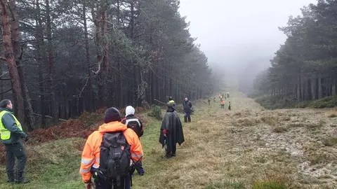 B&uacute;squeda del vecino de Igollo en Valderredible
