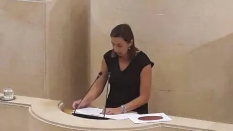 La consejera de Econom&iacute;a de Cantabria, Mar&iacute;a S&aacute;nchez, interviene en el Pleno del Parlamento