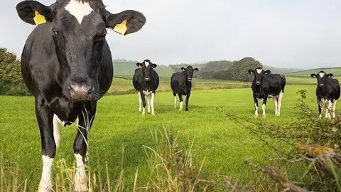 fotonoticia_20180226192442_640