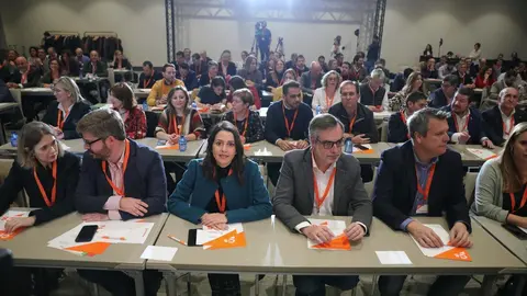 Ciudadanos crea una gestora continuista con Melisa Rodr&iacute;guez como portavoz y fij