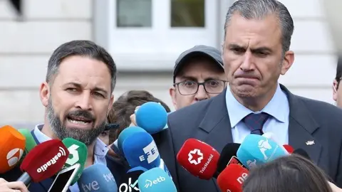 Santiago Abascal y Javier Ortega Smith, presidente y secretario general de Vox, valorando la sentencia del proc&eacute;s